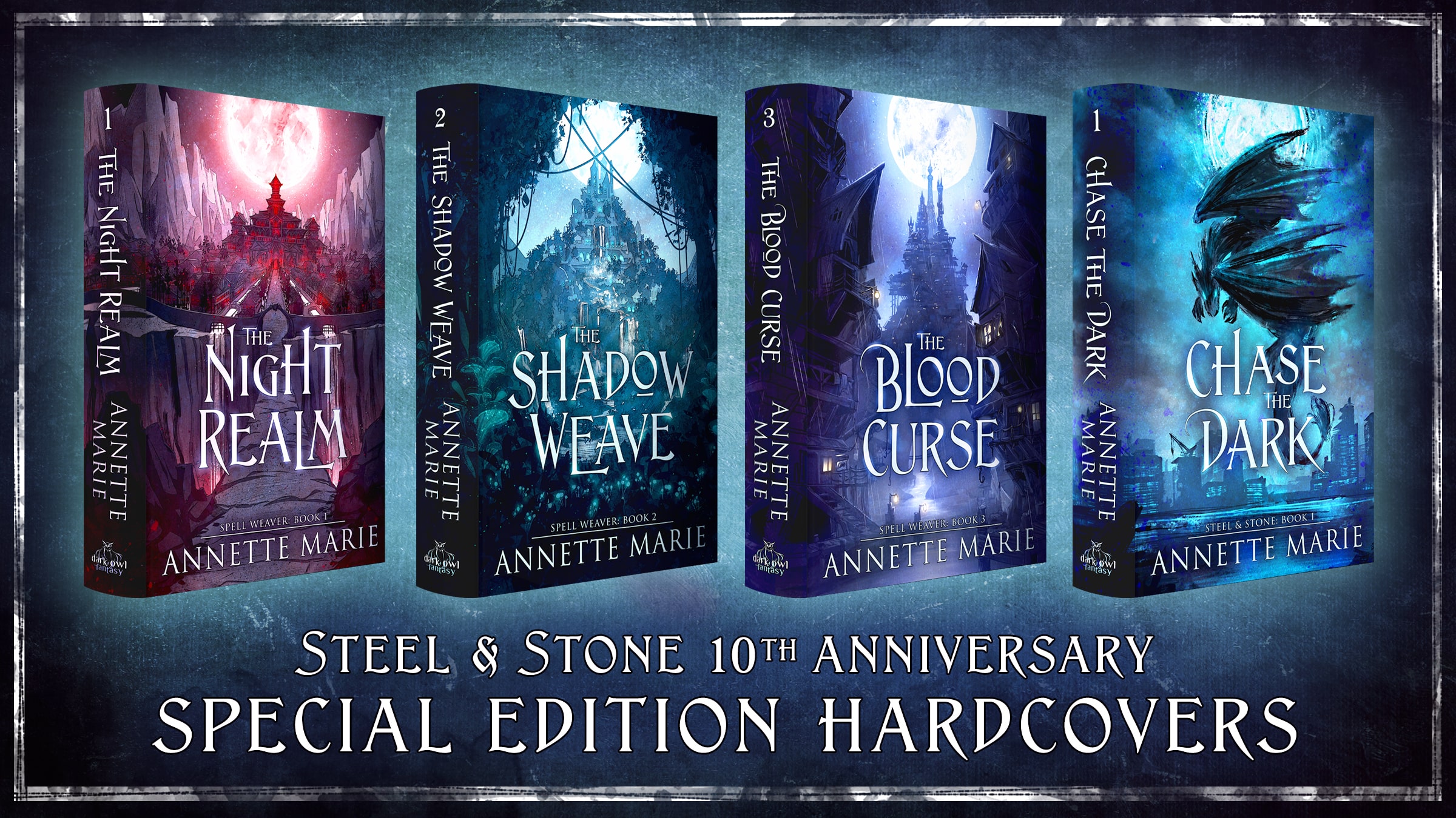 Steel & Stone 10th Anniversary Special Edition Hardcover Kickstarter Banner